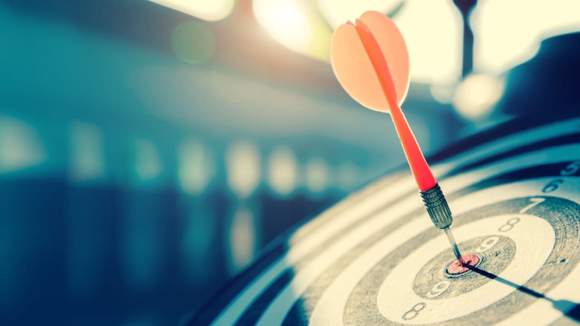 focus in technology and leadership